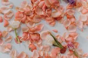 Fresh Rose Face&nbsp;Mask